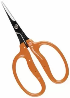 B-500h  967645013627 Professional Horticultural Flower Thinning Scissors And Vegetables 155mm