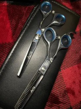 A75-625 Aria Japanese Stainless Steel Styling And Thinning Scissors Set 6 Inch Silver Blue