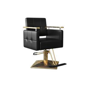 Caishi Cssci-l03 Barber Salon Chair For Hair Stylist Artist Hand 360 Swivel Hydraulic Pump