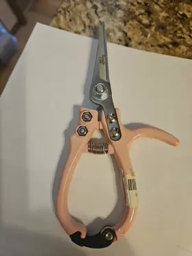 B-500h Chikamasa Fba Professional Horticultural Flower Thinning Scissors And Vegetables New Spring