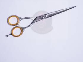 Dragon Scissor Ds-sty-6 Scissors Professional 6-inch Stainless Steel Hair Cutting Shears Japan