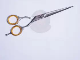Ds-sty-6 Dragon Scissor Scissors Professional 6-inch Stainless Steel Hair Cutting Shears Japan