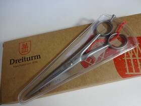 Dreiturm 353661 German Stainless Inch Professional 6 Hair Solingen Shear Scissor