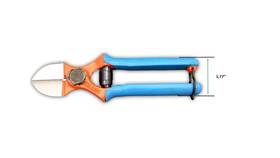 Due Buoi 011437008332 Made In Italy Professional No Hobbyist Forged Double Cut... Fast Ship