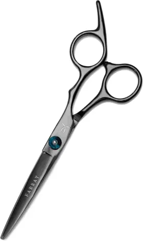 Farray 313103785768 6.5 Inch Professional Hair Cutting Scissors - Japanese Stainless Steel Barber