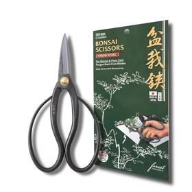 Forest Originals 595989721382 Senkichikin Bonsai Scissors 7in 180mm Made In Japan Pruning Shears Sh