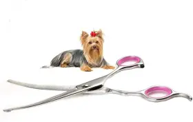 Ivy6522 Ivyrise Dog Grooming Scissors Curved 7 Inch Stainless Steel With Safety Round Tips Pr