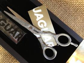 Jaguar 211555 Gold Line Diva 5 Inch Pro Hair Stylist Shear Scissors Silver Glitter 21155