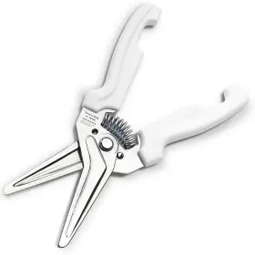 Jero 802991439605 Stainless Steel Kitchen Shears With Holder - Perfect For Herbs Floral T