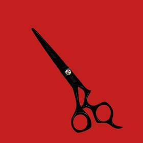 Kashi Cb-113c Japanese Cobalt Steel Black 5.5 Inch Hair Cutting Shears / Scissors