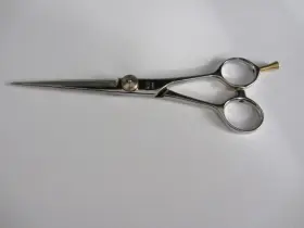 Kasho 901601595758 Genuine Shears Kgd 6.0 Hair Scissors