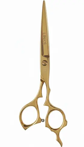 Sus420j2 Links Sr-10 Professional Hair Scissors