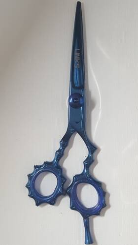 Links Sr-s810 Professional Hair Scissors Susj420 Pvd Coated