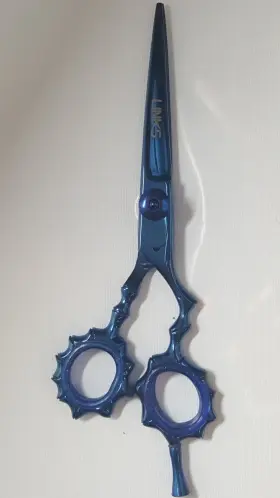 Susj420 Links Sr-s810 Professional Hair Scissors Pvd Coated