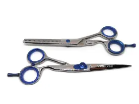 Ss95 Misaki Hair Styling Shears / Thinning Set 6.5 Inch Japanese Stainless With Case