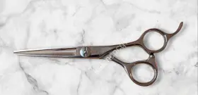 Cq255 Mizutani Scissors Acro Crossover 5.5 Inch Vg10 Metal New Free Gift