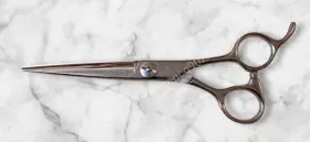 Cq260 Mizutani Scissors Acro Crossover 6.0 Inch Vg10 Metal New Free Gift