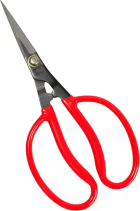 Ranshou 445002914970 Grape Scissors 6.8 Inch Pointed Tips Professional Japanese Garden For Trim