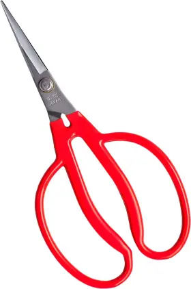 Rgs175 Ranshou Grape Scissors 6.8 Inch Pointed Tips Professional Japanese Garden For Trim