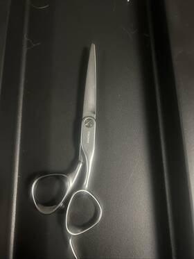 Sam Villa 94-5791 Never Used Sheers For Hair Professional. Metal And Nylon. Not In Box