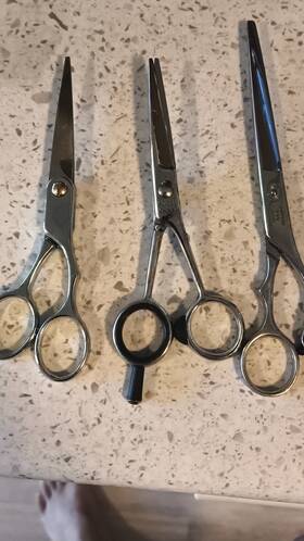 Sapporo Asahi Ss-500 And Scissors Lot Stainless Steel 600 Finger Rest