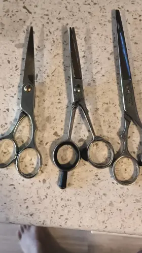 Ss-500 Sapporo Asahi And Scissors Lot Stainless Steel 600 Finger Rest