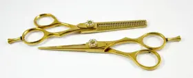 4325471709 Scissors Plus 6 Inch Professional Hairdressing For Hairdressers And Hair Stylists Salon B
