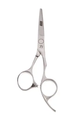 Shearsdirect 637801380651 Hand-forged Professional Straight Blade Shear 6 Inch 2 Ounce