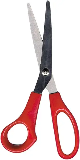 Studio Pro 313026531572 Foil Shears