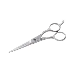7430-r Tweezerman Stainless 2000 Styling Shears 5.5 - Hair Scissors For Women And Men