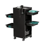 Salon Trolley Cart, Hair Station Equipment, Spa Tray 4 ... New. Price: $202.43.
