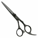 Washi Beauty Black Dragon Professional Hair Cutting Shear 5.0, 5.5, 6.0, 7.0 New. Price: $279.00.