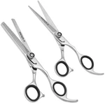 Regale 6.5" Professional Hair Cutting & Thinning Shear Set Japanese Steel Silver New. Price: $64.99.