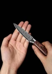 Wakoli Damascus Knife 4 Piece Professional Kitchen Set, 67-LAYER New. Price: $159.00.