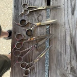 Lot 5 Professional Barber Hair Cutting Scissors Equinox Ruvanti Used. Price: $33.33.