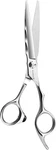 Aolanduo 6" Profal Hair Shears Japanese VG10 Steel, Convex Ed New. Price: $117.59.