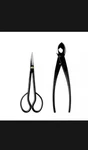 Wazakura Japanese Bonsai Tool Kit Made In - Hanafubuki Satsuki Scissors.... Price: $99.99.