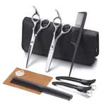 Hair Cutting Scissors Kit, Aethland Silver / Shears Combs New. Price: $37.99.
