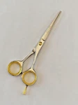 Barber Hair Cutting Scissors Professional Razor Edge Salon Dressing Shears New. Price: $13.99.