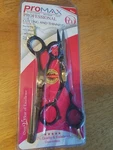 Promax Prof Hair Cutting Thinning Scissor Set, Japanese Stainless Steal. New. Price: $25.00.