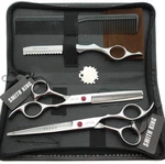 7.0 Inches Professional Hair Cutting Thinning Scissors Set Inch, Silver New. Price: $39.51.