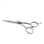 Professional Barber Cutting Scissors 6 Salon Shears Hairdresser Tool New. Price: $24.99.