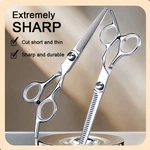 2PCS Pro Hair Cutting Scissors Set - Thinning Shears Barber Salon & Home Use New. Price: $9.99.