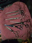 Prof. Grooming Shears Lot Rose Line, Raphil, Kazu, Thinning & Cutting Scissors Used. Price: $120.00.