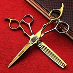 Axemoore 6.0 Professional Hairdressing Scissors Tools Free Shipping Half-golden New. Price: $21.00.