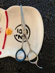 Utsumi Shears Scissors 5.5 Kt Rarely Used Newly Sharpened Great Price. Price: $165.00.