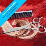 Equinox Professional Series Razor Edge Hair Cutting Scissors, 6.5" New. Price: $6.95.