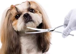 Lovinpet Dog Cat Grooming Scissors Curved Shears Trimmer Clippers Supplies New. Price: $9.99.