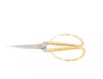 Premium Houseplant Scissors And Pruning Shears By Resource Center... Open. Price: $25.00.