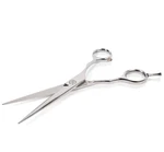 Professional Sleek Hair Cutting Scissors (6.5 Inch) Trimming New. Price: $9.99.